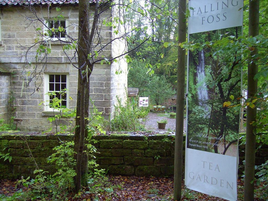 Thorpe Green House Vegetarian Bed & Breakfast ロビン・フッズ・ベイ エクステリア 写真