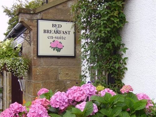 Thorpe Green House Vegetarian Bed & Breakfast ロビン・フッズ・ベイ エクステリア 写真