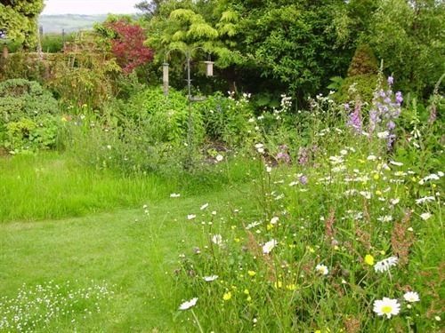 Thorpe Green House Vegetarian Bed & Breakfast ロビン・フッズ・ベイ エクステリア 写真